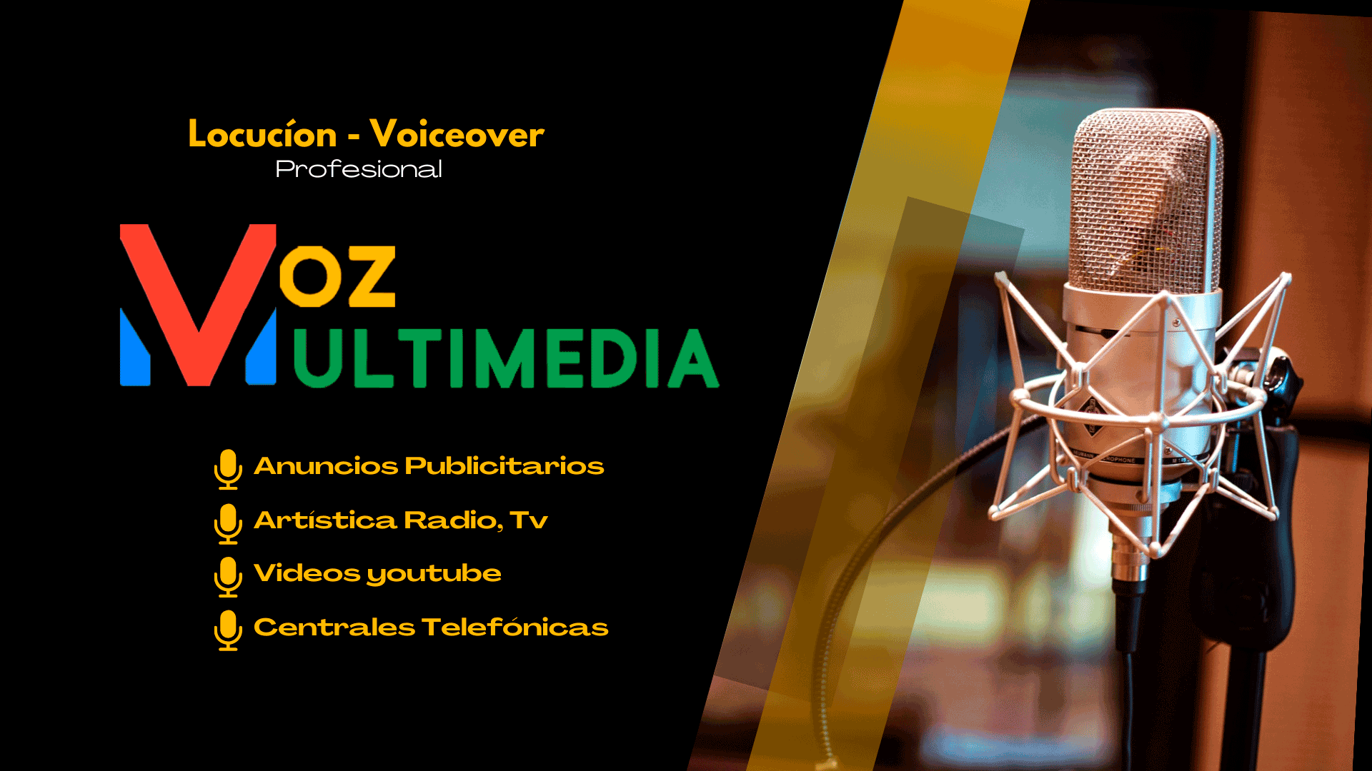 vozmultimedia
